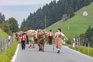 Appenzell, Appenzell Ausserrohden, Schweiz, Schwellbrunn, Sennen, Suisse, Switzerland, Tracht, Viehschau, tradition