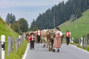 Appenzell, Appenzell Ausserrohden, Schweiz, Schwellbrunn, Sennen, Suisse, Switzerland, Tracht, Viehschau, tradition
