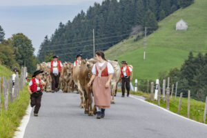 Appenzell, Appenzell Ausserrohden, Schweiz, Schwellbrunn, Sennen, Suisse, Switzerland, Tracht, Viehschau, tradition