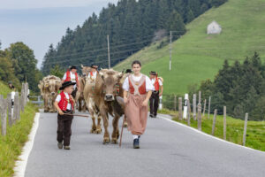 Appenzell, Appenzell Ausserrohden, Schweiz, Schwellbrunn, Sennen, Suisse, Switzerland, Tracht, Viehschau, tradition