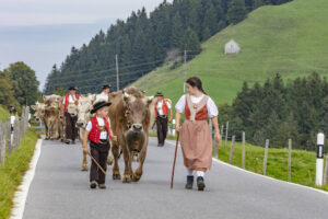 Appenzell, Appenzell Ausserrohden, Schweiz, Schwellbrunn, Sennen, Suisse, Switzerland, Tracht, Viehschau, tradition
