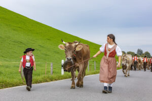 Appenzell, Appenzell Ausserrohden, Schweiz, Schwellbrunn, Sennen, Suisse, Switzerland, Tracht, Viehschau, tradition