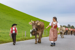 Appenzell, Appenzell Ausserrohden, Schweiz, Schwellbrunn, Sennen, Suisse, Switzerland, Tracht, Viehschau, tradition