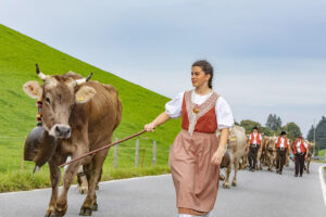 Appenzell, Appenzell Ausserrohden, Schweiz, Schwellbrunn, Sennen, Suisse, Switzerland, Tracht, Viehschau, tradition