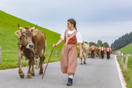 Appenzell, Appenzell Ausserrohden, Schweiz, Schwellbrunn, Sennen, Suisse, Switzerland, Tracht, Viehschau, tradition