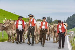 Appenzell, Appenzell Ausserrohden, Schweiz, Schwellbrunn, Sennen, Suisse, Switzerland, Tracht, Viehschau, tradition