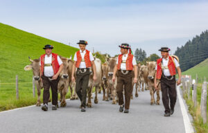 Appenzell, Appenzell Ausserrohden, Schweiz, Schwellbrunn, Sennen, Suisse, Switzerland, Tracht, Viehschau, tradition