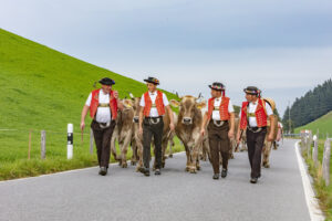 Appenzell, Appenzell Ausserrohden, Schweiz, Schwellbrunn, Sennen, Suisse, Switzerland, Tracht, Viehschau, tradition