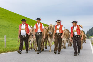 Appenzell, Appenzell Ausserrohden, Schweiz, Schwellbrunn, Sennen, Suisse, Switzerland, Tracht, Viehschau, tradition