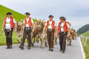 Appenzell, Appenzell Ausserrohden, Schweiz, Schwellbrunn, Sennen, Suisse, Switzerland, Tracht, Viehschau, tradition