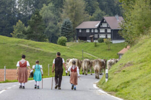 Appenzell, Appenzell Ausserrohden, Schweiz, Schwellbrunn, Sennen, Suisse, Switzerland, Tracht, Viehschau, tradition