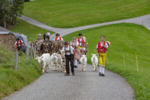 Appenzell, Appenzell Ausserrohden, Schweiz, Schwellbrunn, Sennen, Suisse, Switzerland, Tracht, Viehschau, tradition