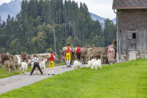 Appenzell, Appenzell Ausserrohden, Schweiz, Schwellbrunn, Sennen, Suisse, Switzerland, Tracht, Viehschau, tradition