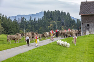 Appenzell, Appenzell Ausserrohden, Schweiz, Schwellbrunn, Sennen, Suisse, Switzerland, Tracht, Viehschau, tradition