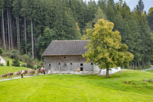 Appenzell, Appenzell Ausserrohden, Schweiz, Schwellbrunn, Sennen, Suisse, Switzerland, Tracht, Viehschau, tradition