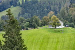 Appenzell, Appenzell Ausserrohden, Schweiz, Schwellbrunn, Sennen, Suisse, Switzerland, Tracht, Viehschau, tradition