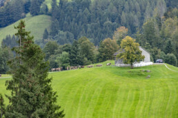 Appenzell, Appenzell Ausserrohden, Schweiz, Schwellbrunn, Sennen, Suisse, Switzerland, Tracht, Viehschau, tradition