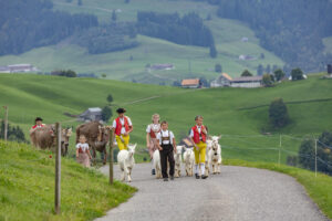 Appenzell, Appenzell Ausserrohden, Schweiz, Schwellbrunn, Sennen, Suisse, Switzerland, Tracht, Viehschau, tradition