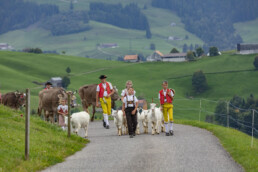 Appenzell, Appenzell Ausserrohden, Schweiz, Schwellbrunn, Sennen, Suisse, Switzerland, Tracht, Viehschau, tradition