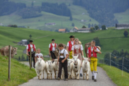 Appenzell, Appenzell Ausserrohden, Schweiz, Schwellbrunn, Sennen, Suisse, Switzerland, Tracht, Viehschau, tradition