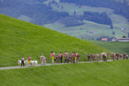 Appenzell, Appenzell Ausserrohden, Schweiz, Schwellbrunn, Sennen, Suisse, Switzerland, Tracht, Viehschau, tradition