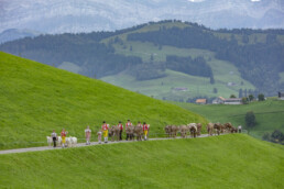 Appenzell, Appenzell Ausserrohden, Schweiz, Schwellbrunn, Sennen, Suisse, Switzerland, Tracht, Viehschau, tradition