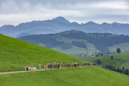 Appenzell, Appenzell Ausserrohden, Schweiz, Schwellbrunn, Sennen, Suisse, Switzerland, Tracht, Viehschau, tradition