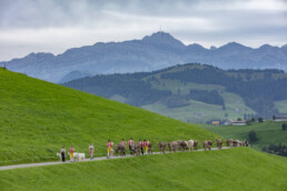 Appenzell, Appenzell Ausserrohden, Schweiz, Schwellbrunn, Sennen, Suisse, Switzerland, Tracht, Viehschau, tradition