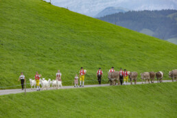 Appenzell, Appenzell Ausserrohden, Schweiz, Schwellbrunn, Sennen, Suisse, Switzerland, Tracht, Viehschau, tradition