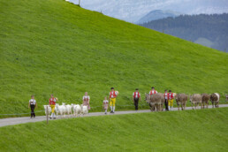 Appenzell, Appenzell Ausserrohden, Schweiz, Schwellbrunn, Sennen, Suisse, Switzerland, Tracht, Viehschau, tradition