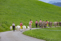 Appenzell, Appenzell Ausserrohden, Schweiz, Schwellbrunn, Sennen, Suisse, Switzerland, Tracht, Viehschau, tradition