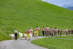 Appenzell, Appenzell Ausserrohden, Schweiz, Schwellbrunn, Sennen, Suisse, Switzerland, Tracht, Viehschau, tradition
