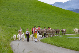 Appenzell, Appenzell Ausserrohden, Schweiz, Schwellbrunn, Sennen, Suisse, Switzerland, Tracht, Viehschau, tradition