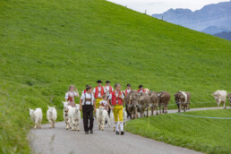 Appenzell, Appenzell Ausserrohden, Schweiz, Schwellbrunn, Sennen, Suisse, Switzerland, Tracht, Viehschau, tradition