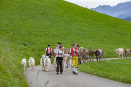 Appenzell, Appenzell Ausserrohden, Schweiz, Schwellbrunn, Sennen, Suisse, Switzerland, Tracht, Viehschau, tradition