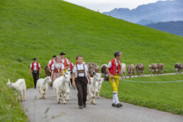 Appenzell, Appenzell Ausserrohden, Schweiz, Schwellbrunn, Sennen, Suisse, Switzerland, Tracht, Viehschau, tradition