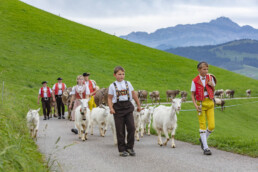 Appenzell, Appenzell Ausserrohden, Schweiz, Schwellbrunn, Sennen, Suisse, Switzerland, Tracht, Viehschau, tradition