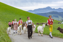 Appenzell, Appenzell Ausserrohden, Schweiz, Schwellbrunn, Sennen, Suisse, Switzerland, Tracht, Viehschau, tradition