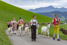 Appenzell, Appenzell Ausserrohden, Schweiz, Schwellbrunn, Sennen, Suisse, Switzerland, Tracht, Viehschau, tradition
