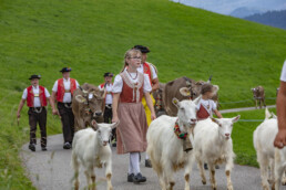 Appenzell, Appenzell Ausserrohden, Schweiz, Schwellbrunn, Sennen, Suisse, Switzerland, Tracht, Viehschau, tradition