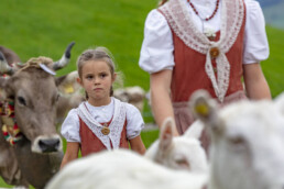 Appenzell, Appenzell Ausserrohden, Schweiz, Schwellbrunn, Sennen, Suisse, Switzerland, Tracht, Viehschau, tradition