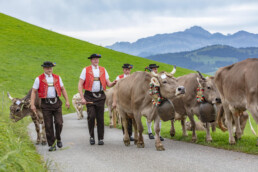 Appenzell, Appenzell Ausserrohden, Schweiz, Schwellbrunn, Sennen, Suisse, Switzerland, Tracht, Viehschau, tradition