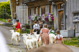 Appenzell, Appenzell Ausserrohden, Schweiz, Schwellbrunn, Sennen, Suisse, Switzerland, Tracht, Viehschau, tradition