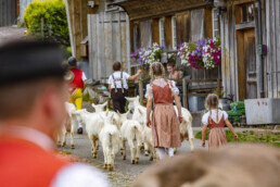 Appenzell, Appenzell Ausserrohden, Schweiz, Schwellbrunn, Sennen, Suisse, Switzerland, Tracht, Viehschau, tradition