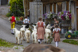 Appenzell, Appenzell Ausserrohden, Schweiz, Schwellbrunn, Sennen, Suisse, Switzerland, Tracht, Viehschau, tradition