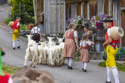 Appenzell, Appenzell Ausserrohden, Schweiz, Schwellbrunn, Sennen, Suisse, Switzerland, Tracht, Viehschau, tradition