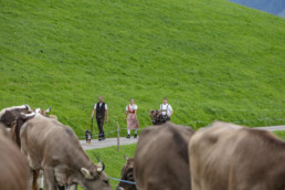 Appenzell, Appenzell Ausserrohden, Schweiz, Schwellbrunn, Sennen, Suisse, Switzerland, Tracht, Viehschau, tradition