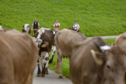 Appenzell, Appenzell Ausserrohden, Schweiz, Schwellbrunn, Sennen, Suisse, Switzerland, Tracht, Viehschau, tradition