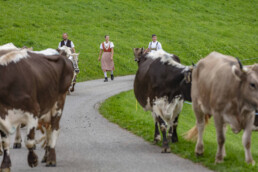 Appenzell, Appenzell Ausserrohden, Schweiz, Schwellbrunn, Sennen, Suisse, Switzerland, Tracht, Viehschau, tradition