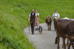 Appenzell, Appenzell Ausserrohden, Schweiz, Schwellbrunn, Sennen, Suisse, Switzerland, Tracht, Viehschau, tradition